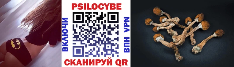 цены   Ейск  ссылка на мегу маркетплейс  Псилоцибиновые грибы Cubensis 