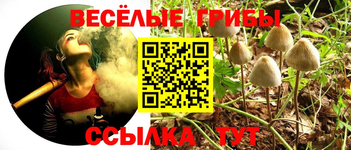 Псилоцибиновые грибы Psilocybe  Вход с VPN  Ейск 