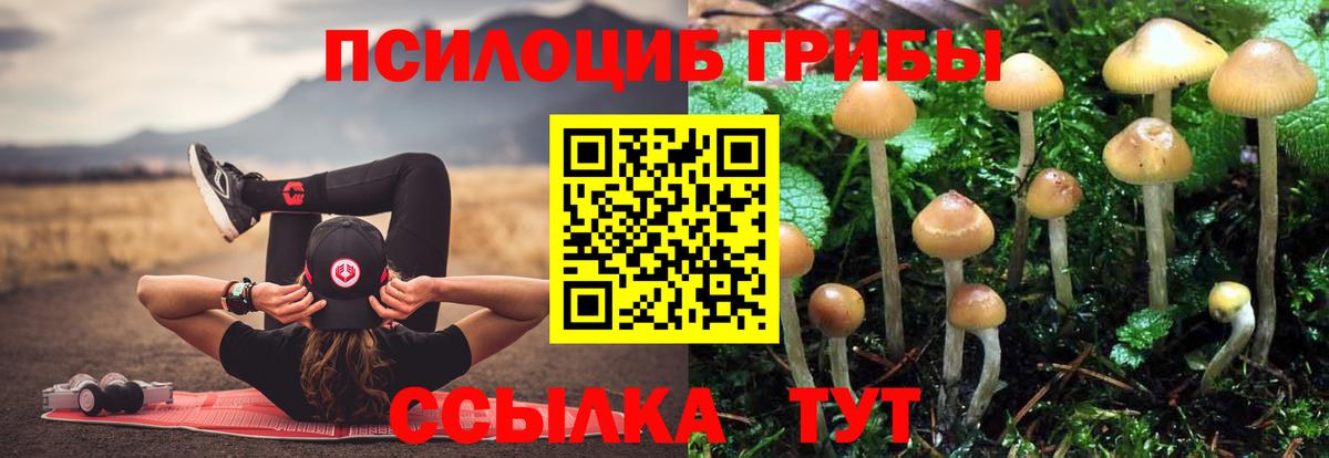 Галлюциногенные грибы MAGIC MUSHROOMS Ейск